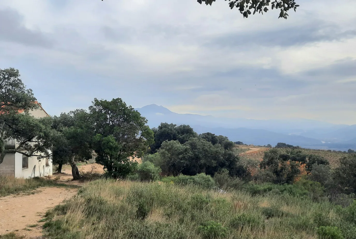 Terrain de loisir avec casot et vue sur le Canigou à Vives 