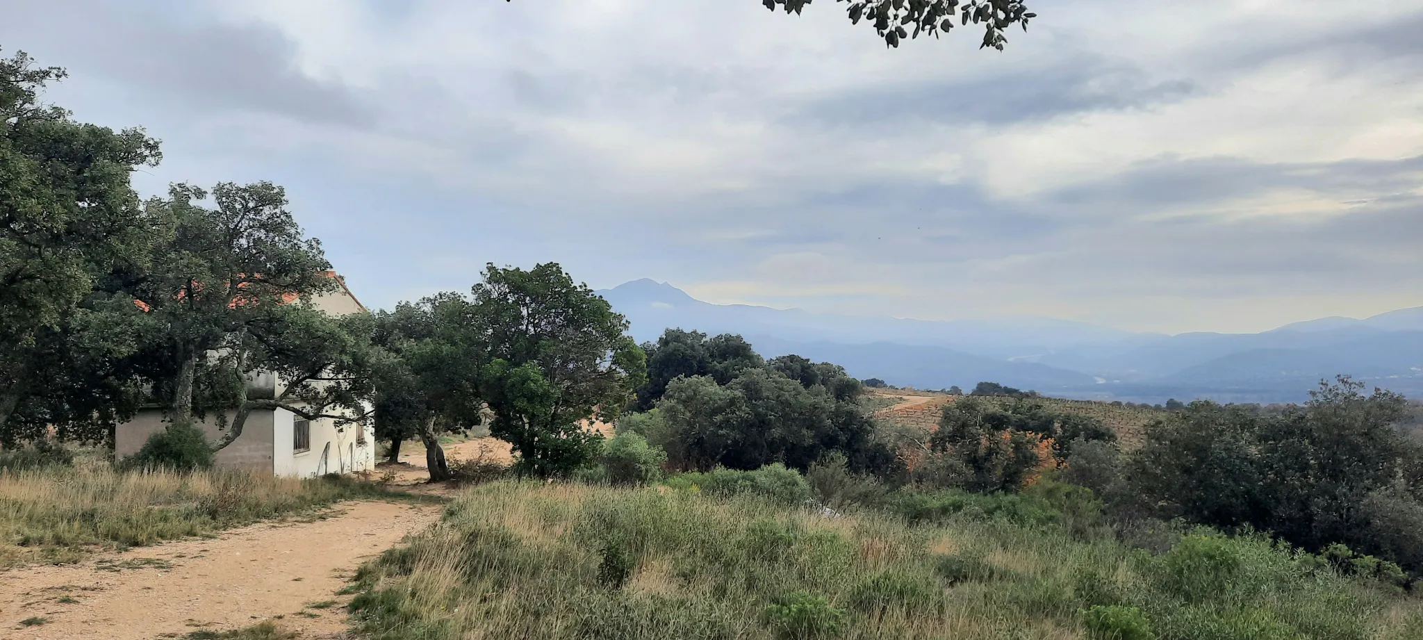 Terrain de loisir avec casot et vue sur le Canigou à Vives 