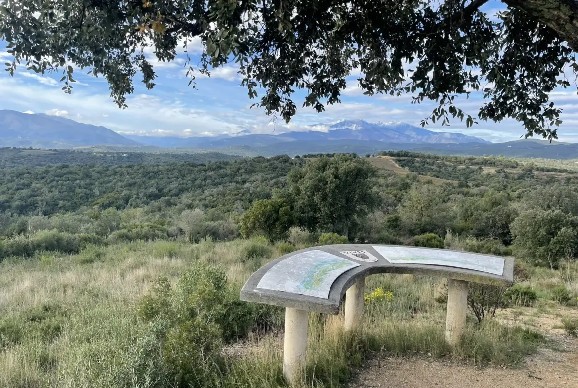 Terrain de loisir avec casot à vendre à Vives 