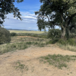 Terrain de loisir avec casot à vendre à Vives