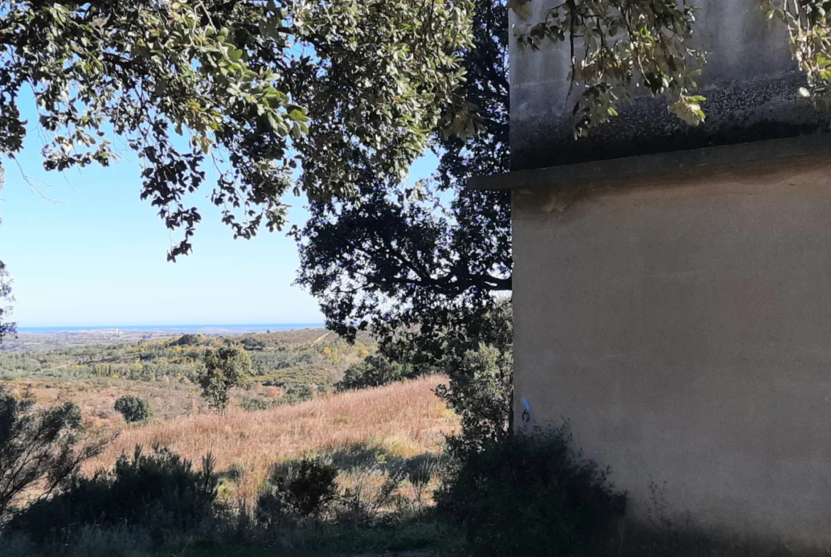 Terrain de loisir avec casot et vue sur le Canigou à Vives 