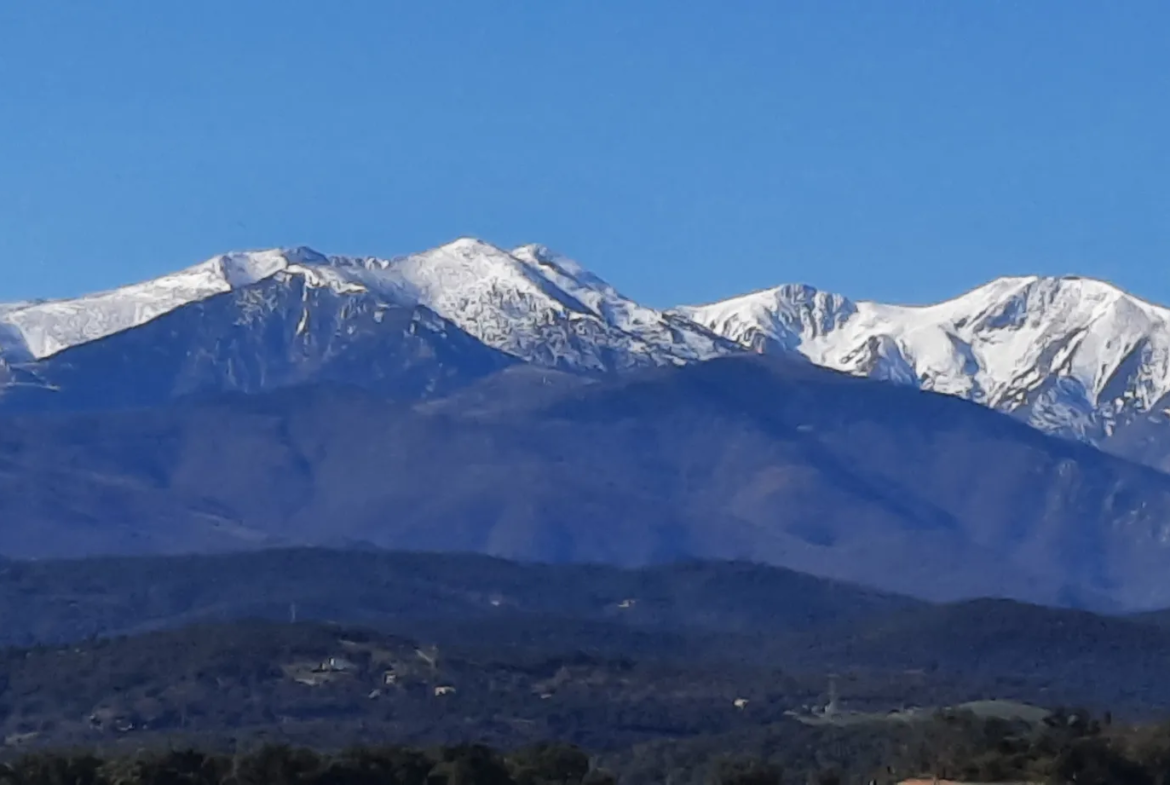 Terrain de loisir avec casot et vue sur le Canigou à Vives 