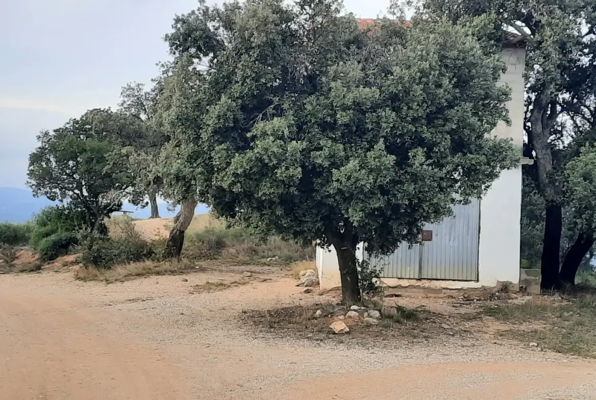 Terrain de loisir avec casot à vendre à Vives 