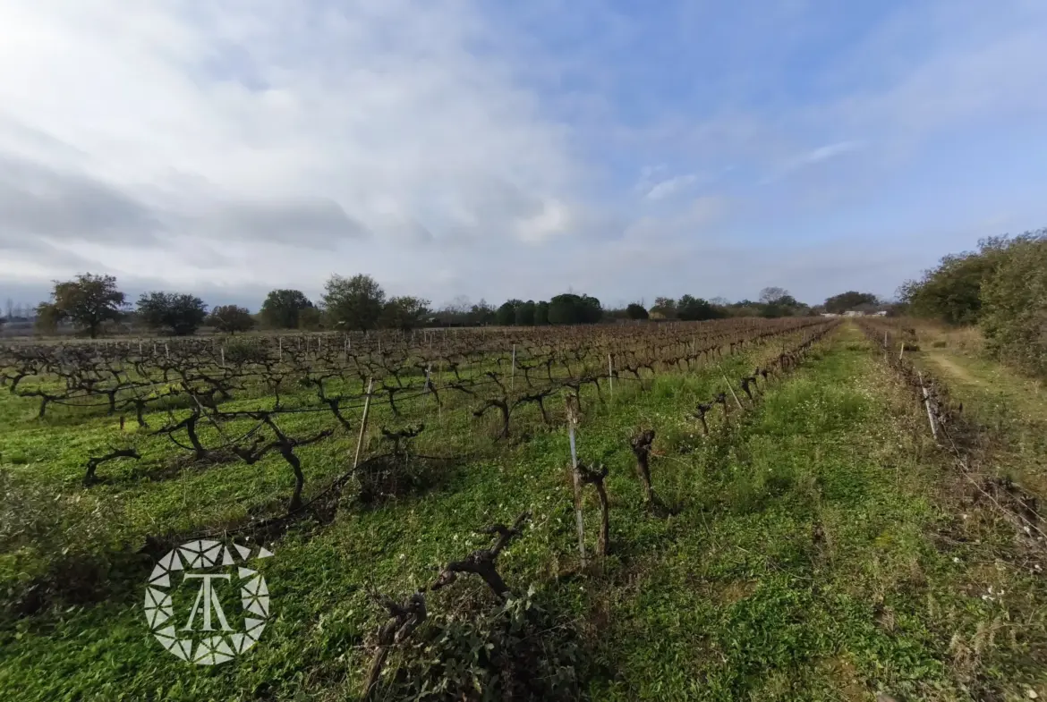 Vente Terrain Non Constructible à Villelongue-dels-Monts - 9255 m² 