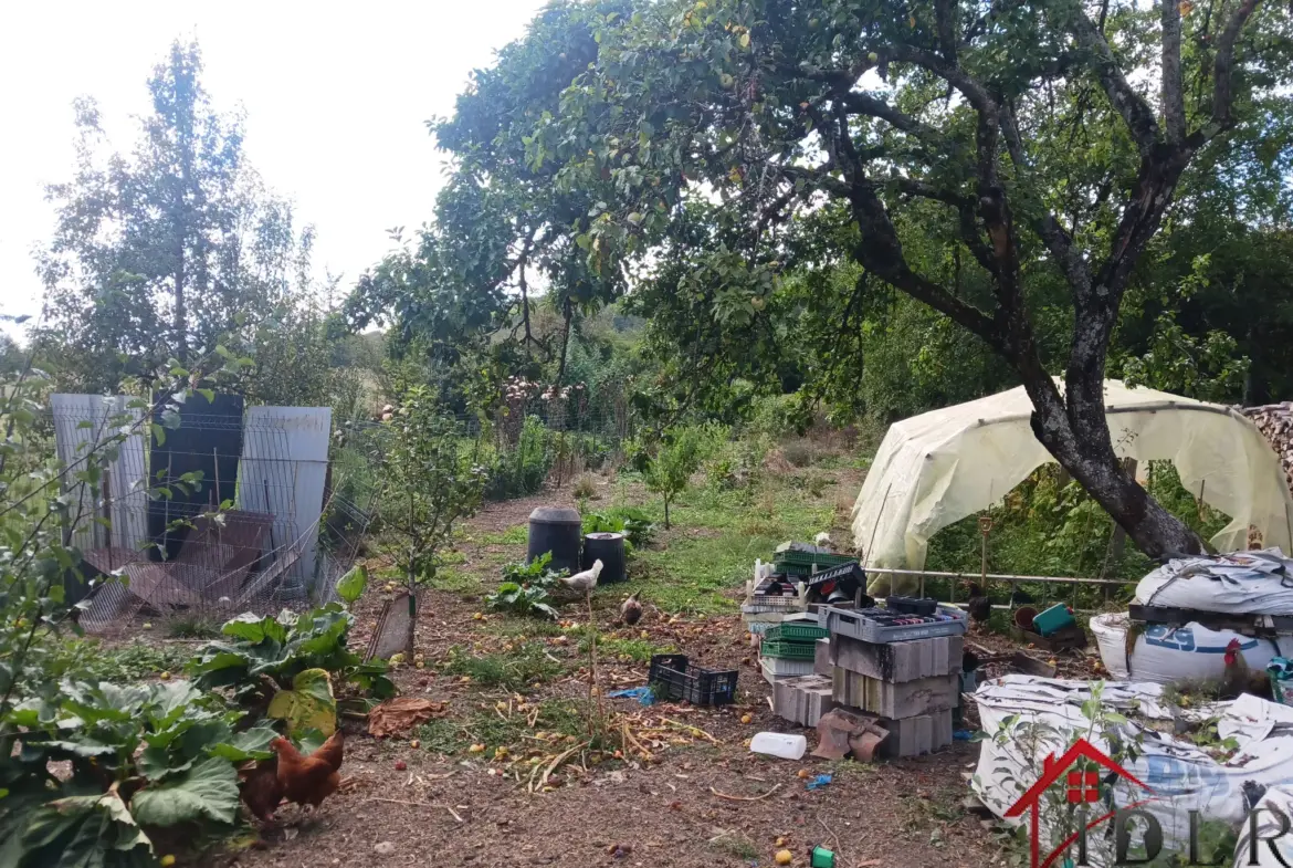 Lot de 2 maisons à rénover à Vernois-sur-Mance 