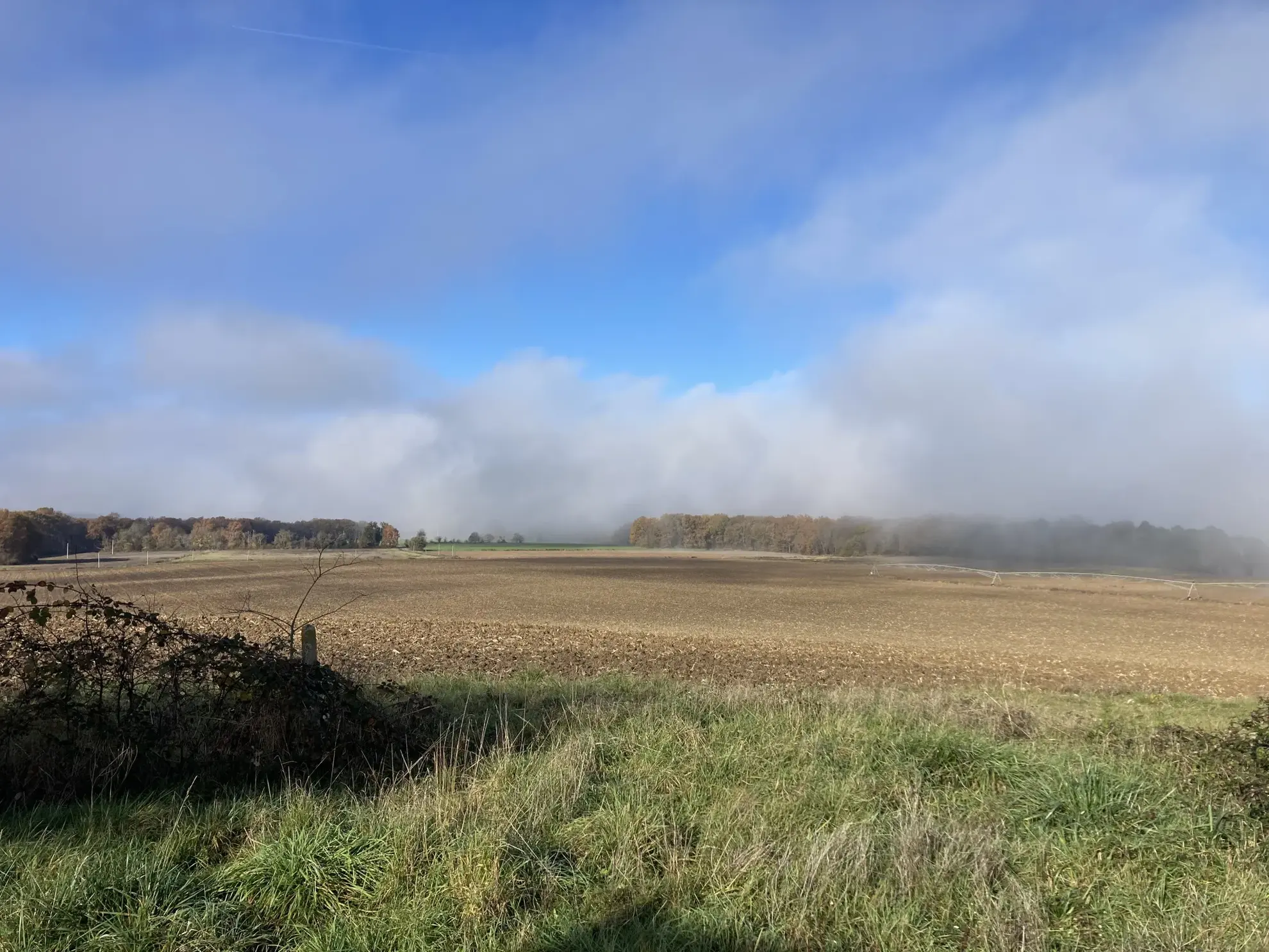 Terrain à bâtir de 1065 m² à Birac, proche de Bazas 