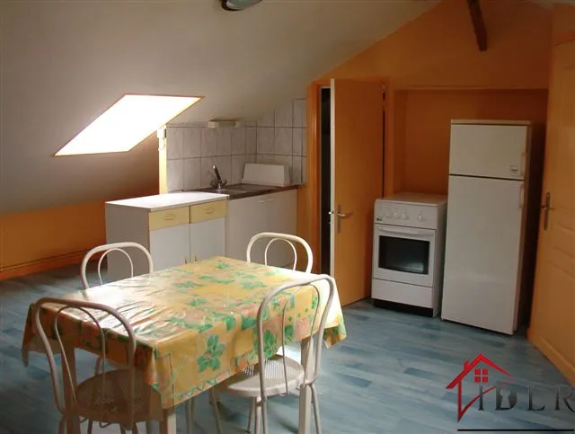 Immeuble à vendre à Sermaize-les-Bains avec revenus locatifs 