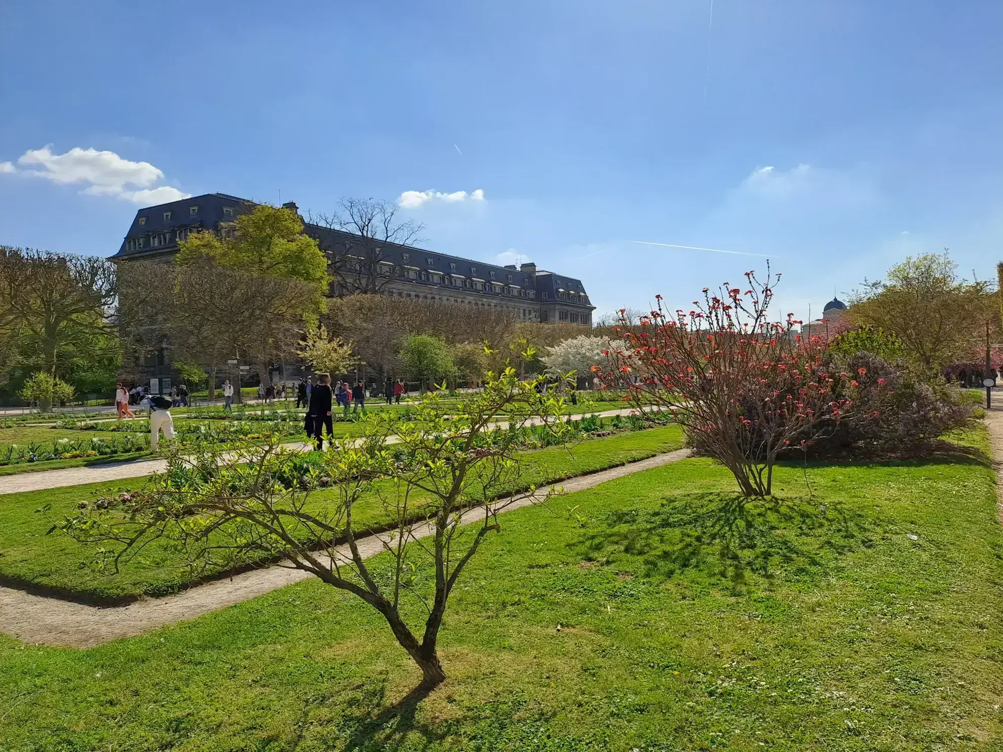 Charmant Studio à Paris 5ème - Idéal Investissement Locatif 