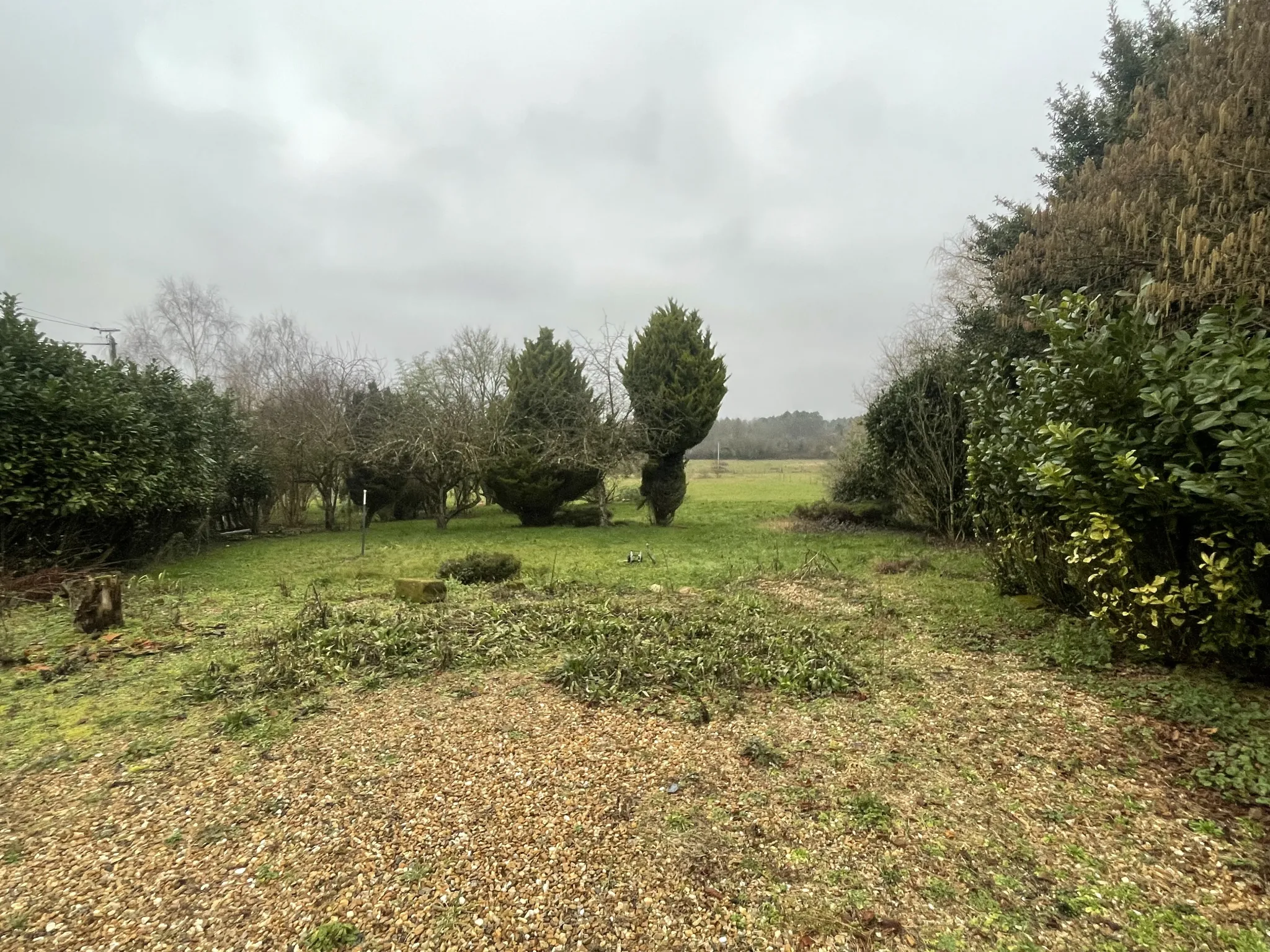 Vente Longère à Parcay les Pins - 130m2 sur 1 hectare 