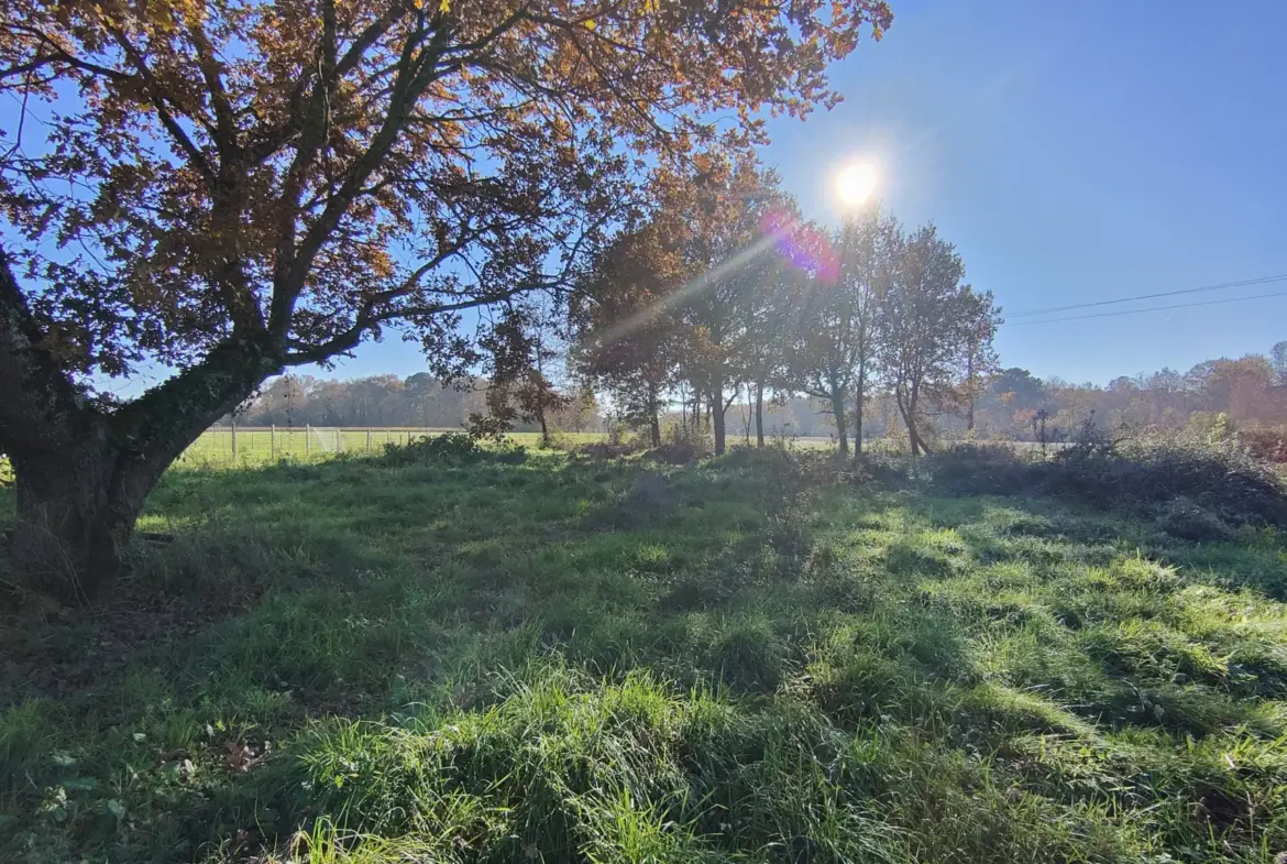 Terrain constructible à Langon de 2515 m² à vendre 