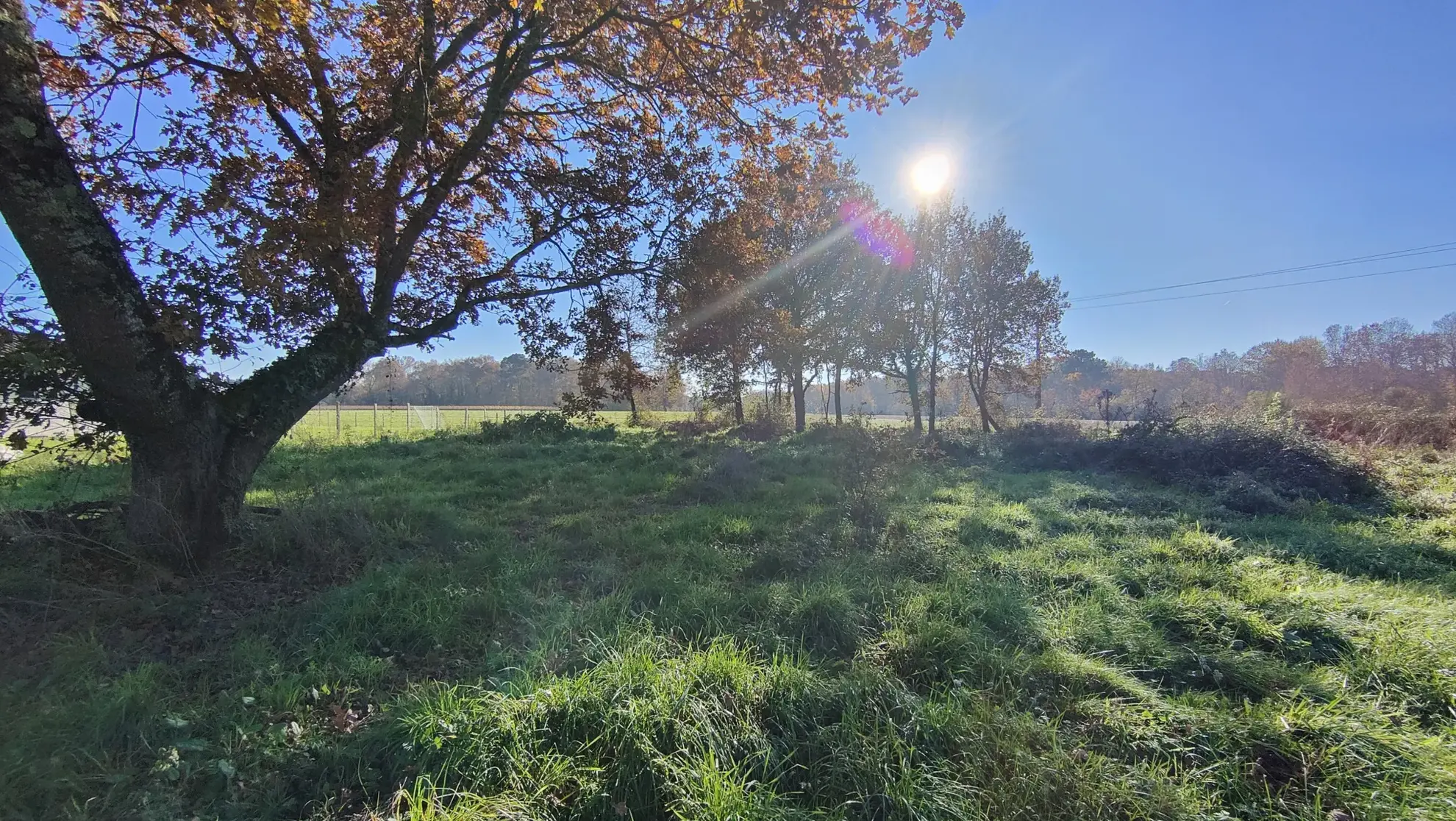 Terrain constructible à Langon de 2515 m² à vendre 