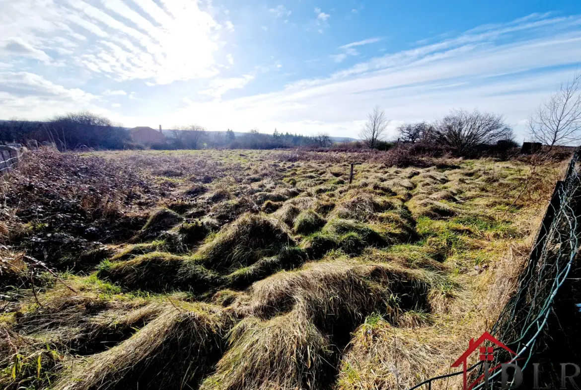 Maison à rénover de 133 m² à Passavant la Rochère sur 3795 m² de terrain 