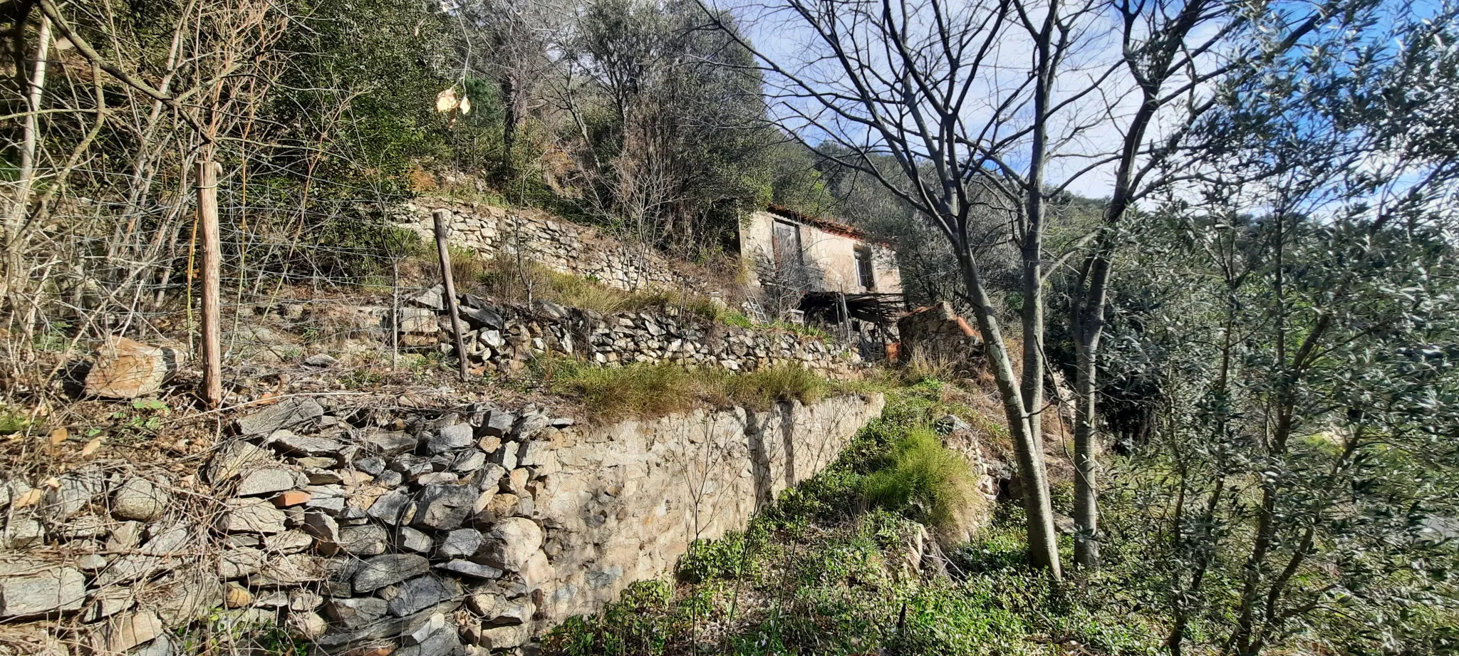 Terrain de loisir à Arles sur Tech - Ensoleillé et proche des commodités 