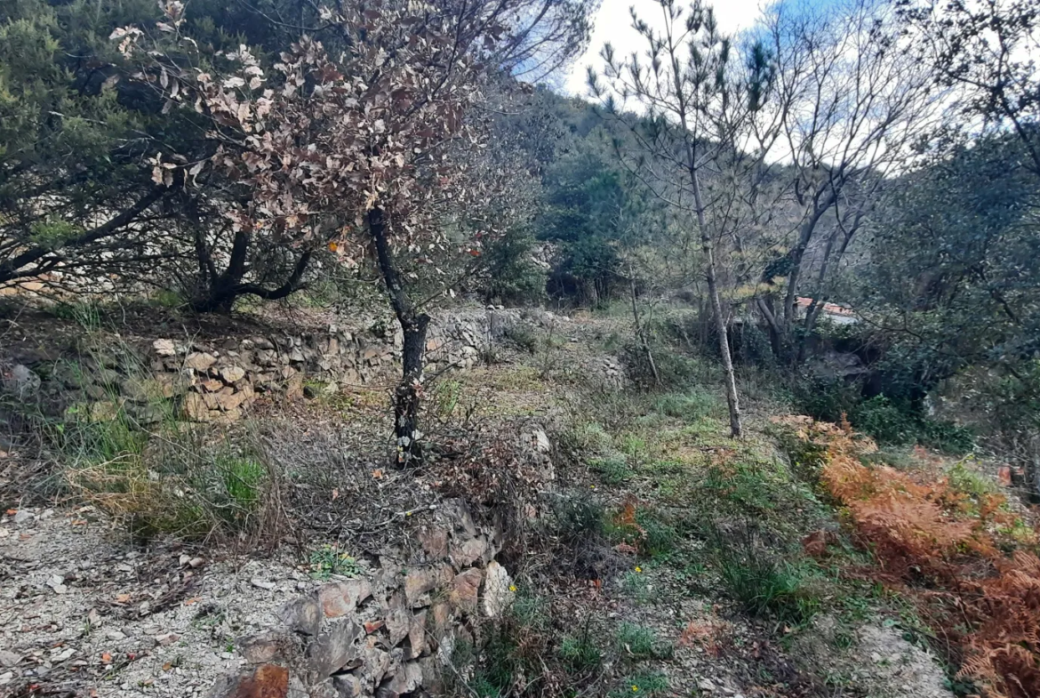 Terrain de loisir à Arles sur Tech - Ensoleillé et proche des commodités 