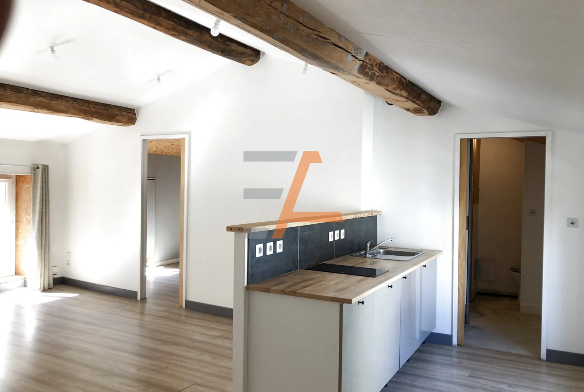 Appartement T2 lumineux à Saint-Étienne - Prêt à l'Emploi 