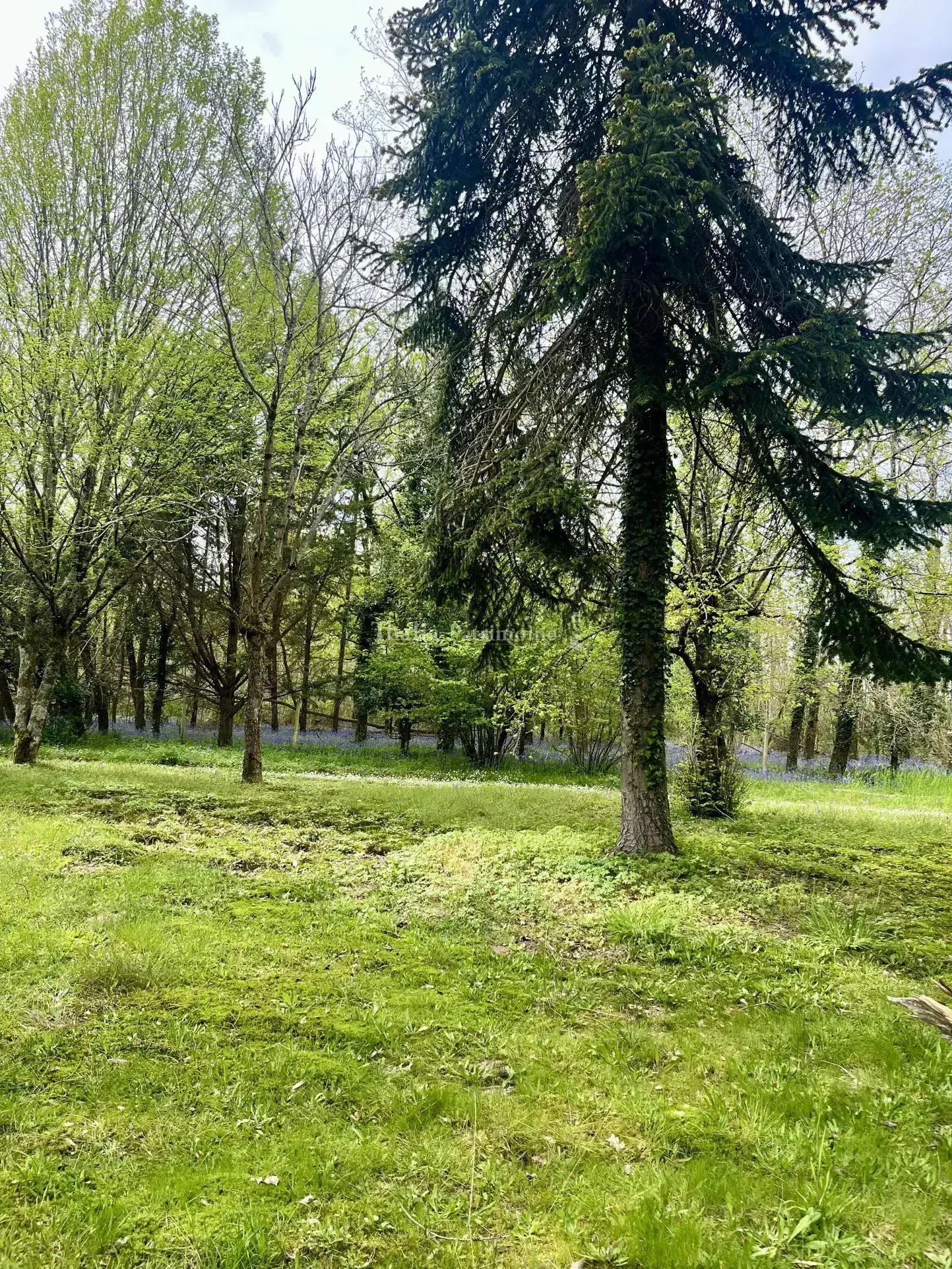 Terrain à bâtir à Saint Denis de Pile - 957 m² 