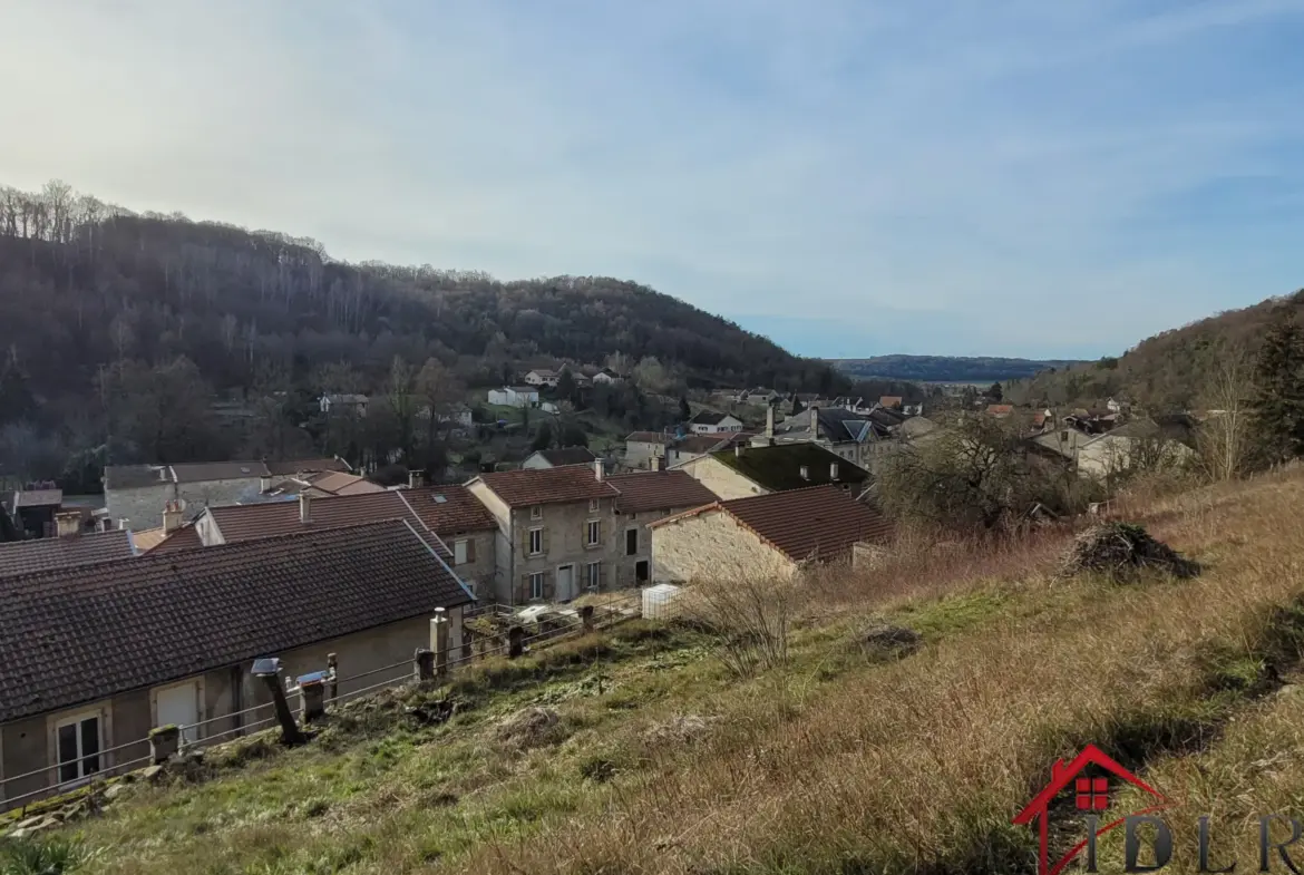 Maison à Chevillon avec Potentiel à Aménager 