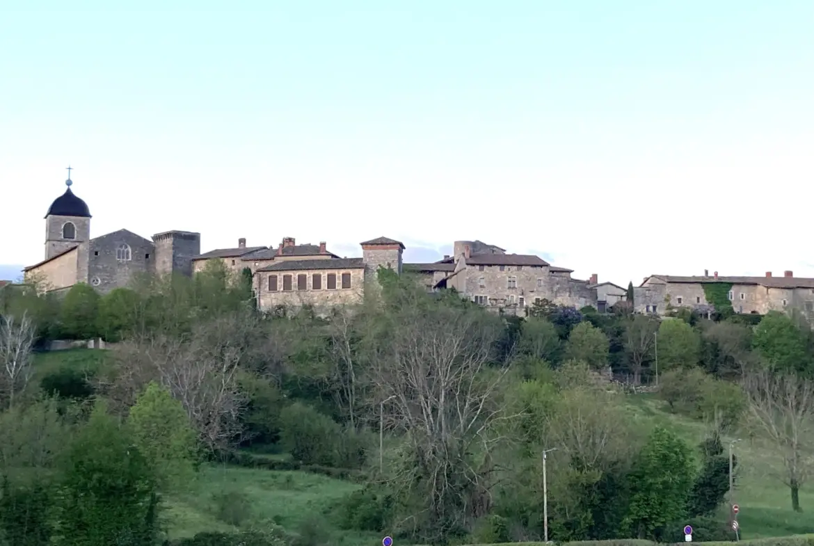 Terrain à bâtir de 1018 m2 à Pérouges avec vue imprenable 