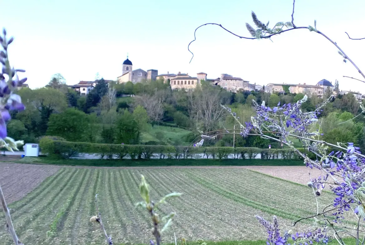 Terrain à bâtir de 1018 m2 à Pérouges avec vue imprenable 