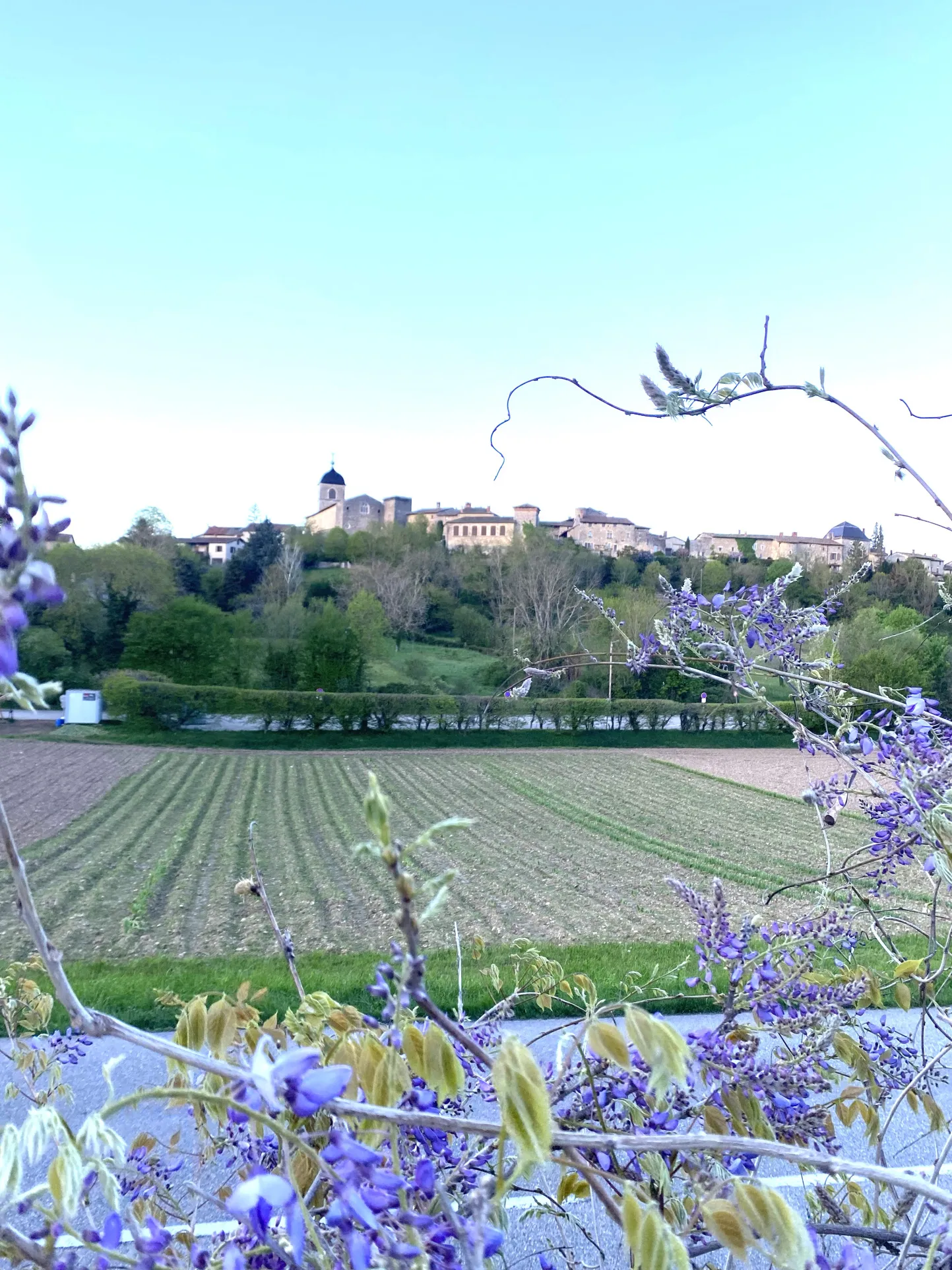 Terrain à bâtir de 1018 m² à Pérouges avec vue magnifique 