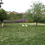 Terrain à bâtir de 1018 m² à Pérouges avec vue magnifique