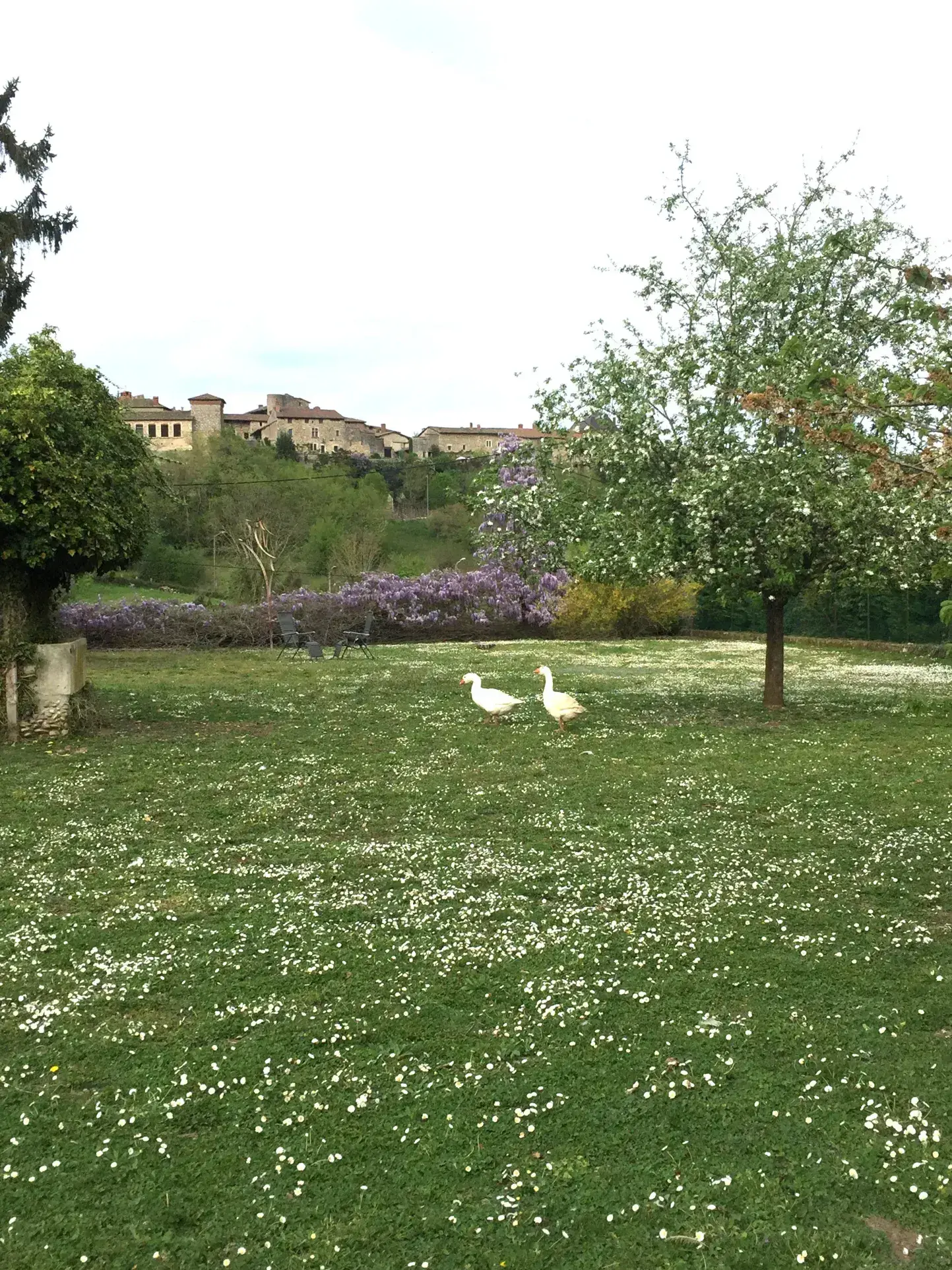 Terrain à bâtir de 1018 m2 à Pérouges avec vue imprenable 