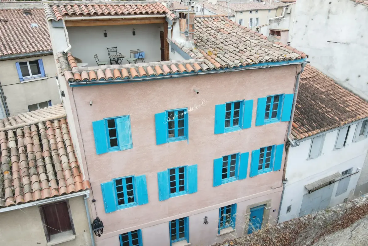 Maison de ville avec terrasse à Limoux - Vue panoramique 