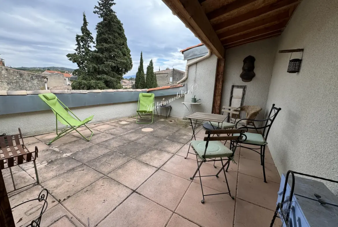 Maison de ville avec terrasse à Limoux - Vue panoramique 