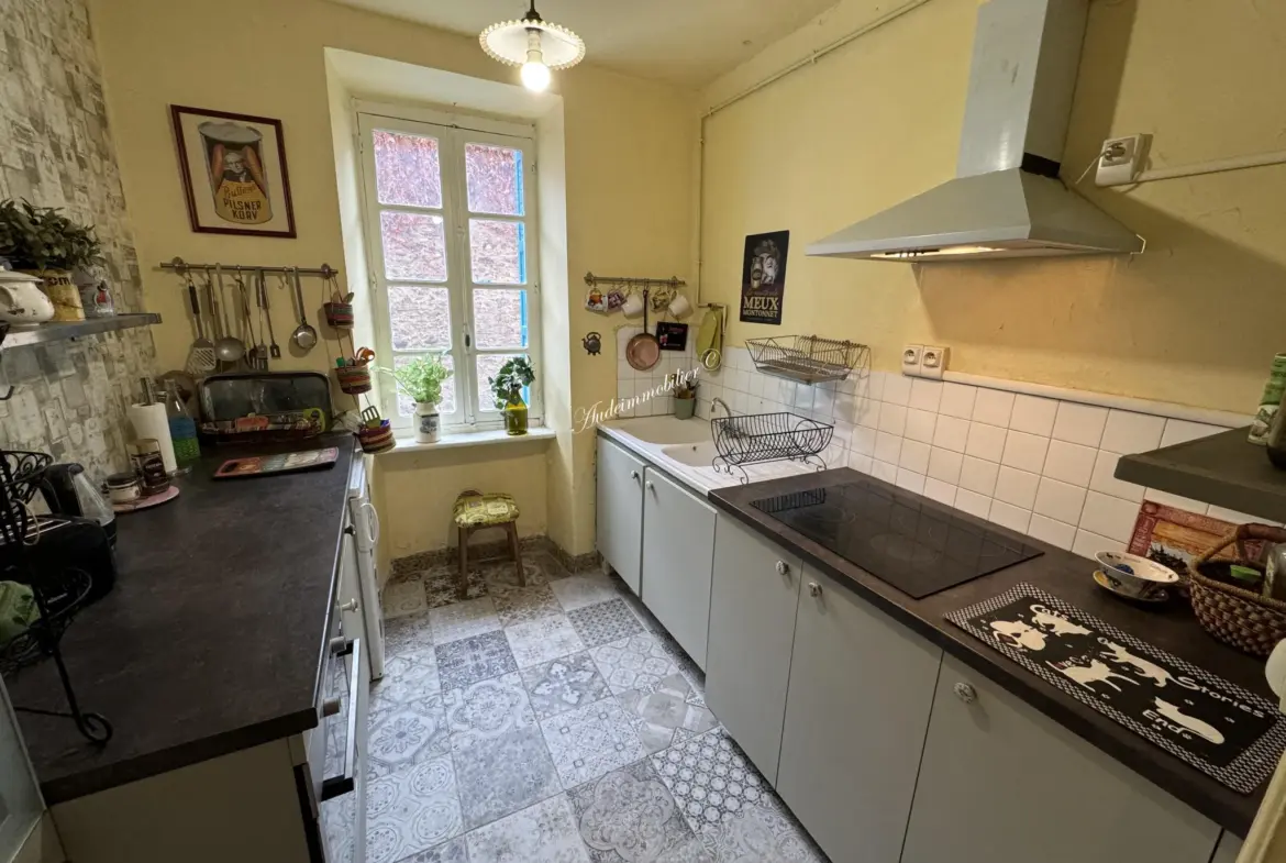 Maison de ville avec terrasse à Limoux - Vue panoramique 