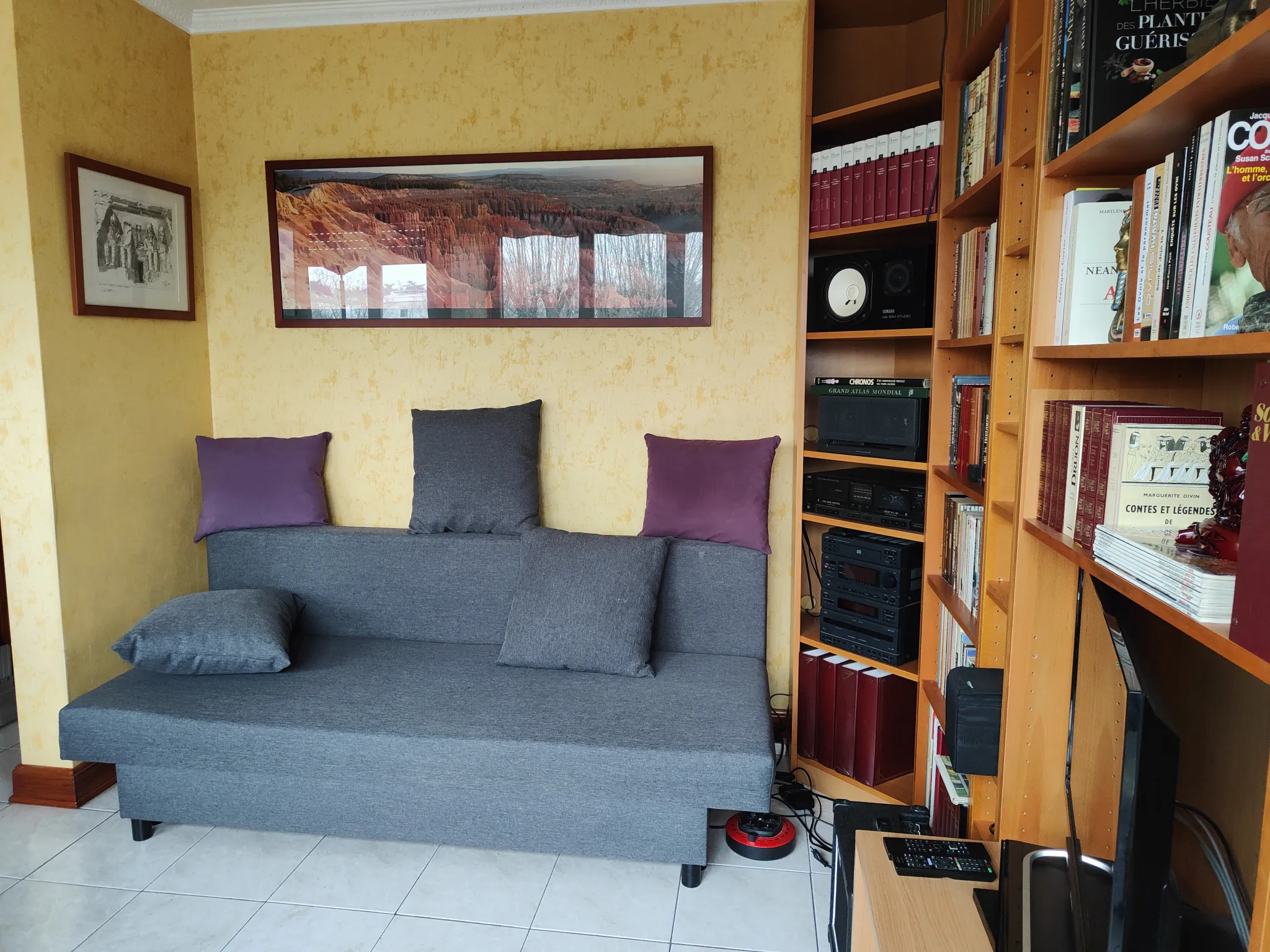 Studio à vendre au Chesnay (78) avec vue dégagée sur la verdure 