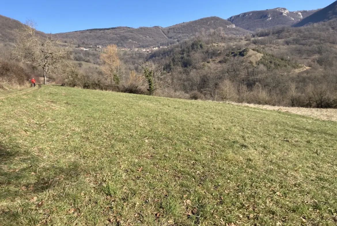 Vente de Terrains de Loisirs à Benonces - 4 350 m² 