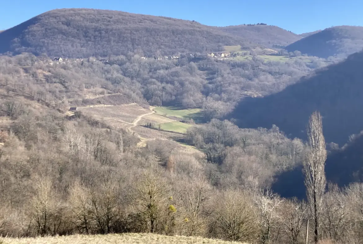 Vente de Terrains de Loisirs à Benonces - 4 350 m² 