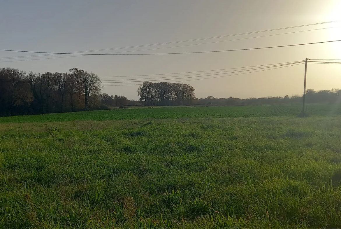 Terrain à bâtir de 1400 m² avec vue sur les Pyrénées à Casteide-Doat 