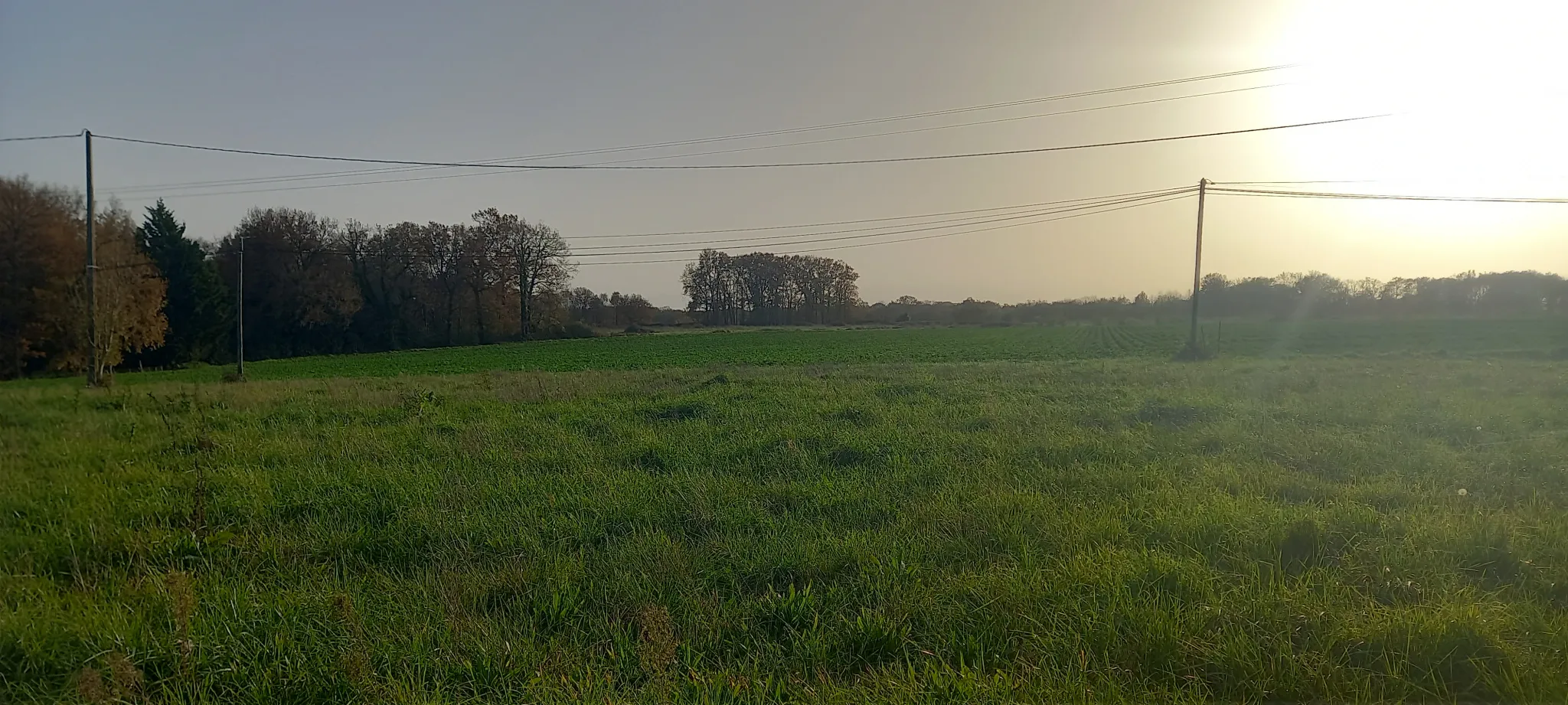 Terrain à bâtir de 1400 m² avec vue sur les Pyrénées à Casteide-Doat 