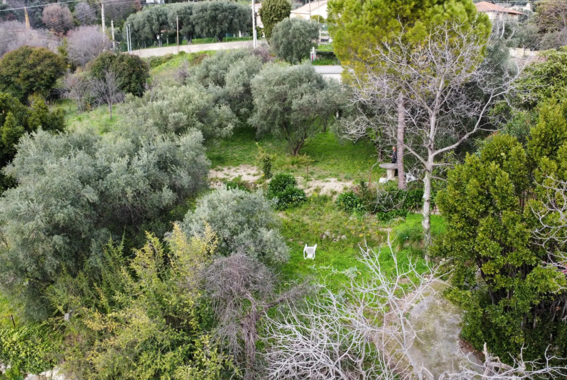 Terrain constructible à Grasse de 1695 m² avec permis de construire 