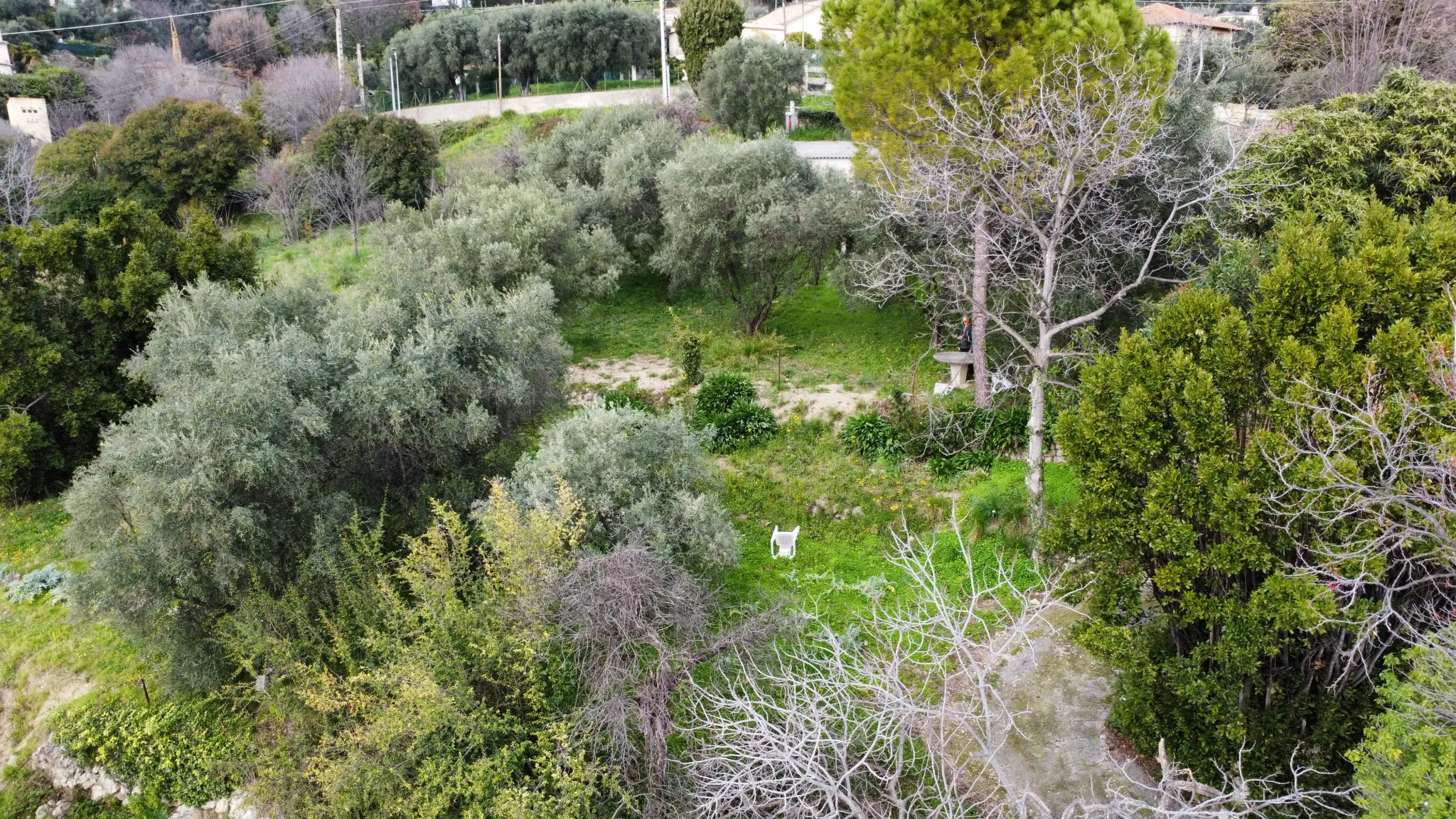 Terrain constructible à Grasse de 1695 m² avec permis de construire 