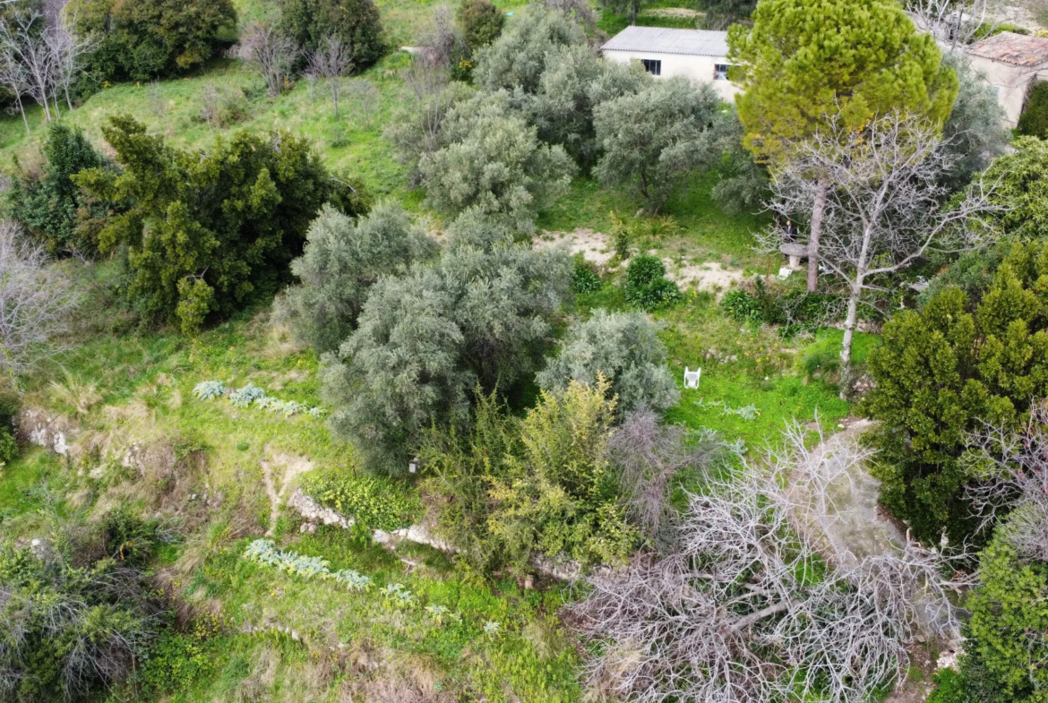 Terrain constructible à Grasse de 1695 m² avec permis de construire 