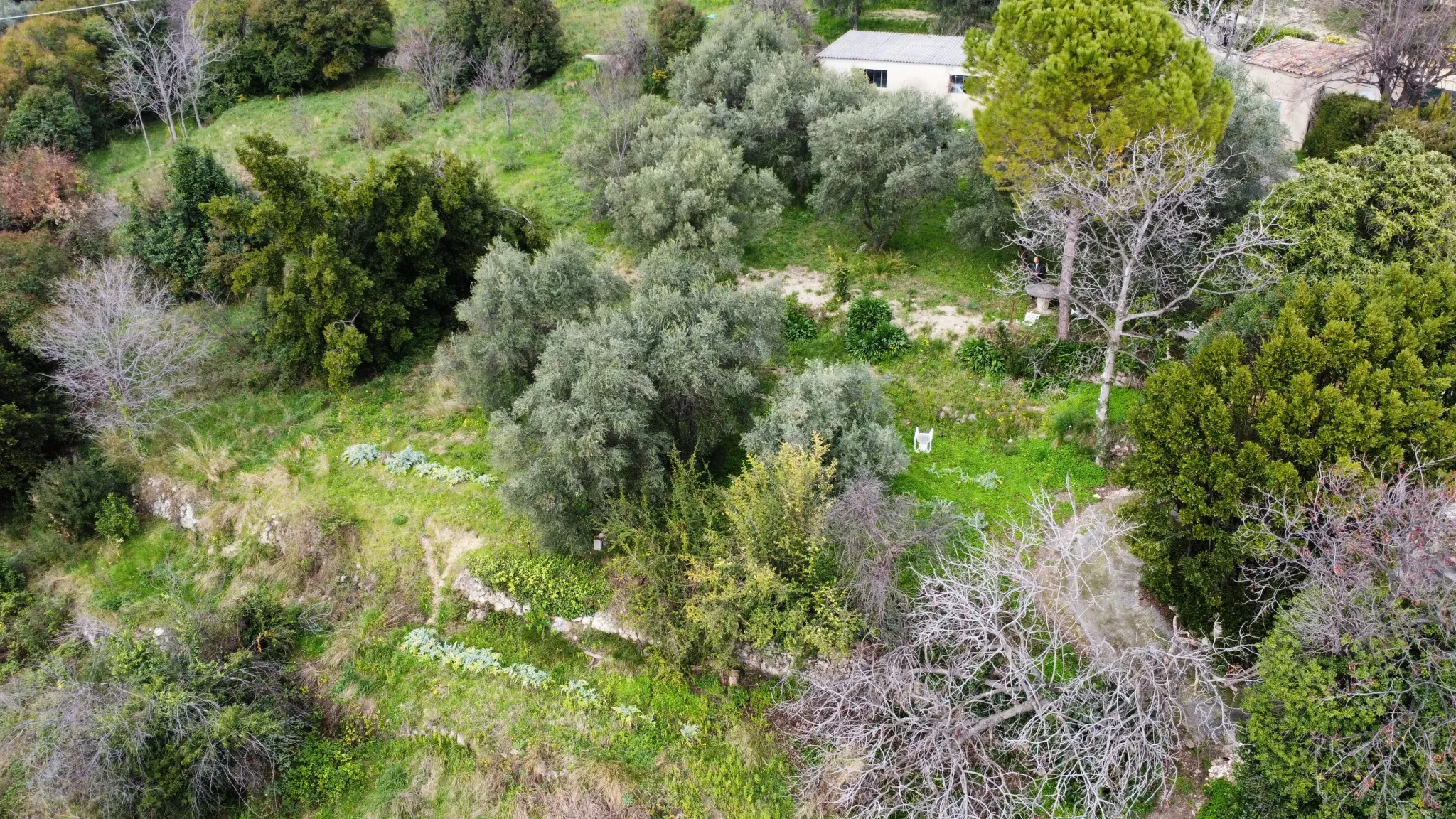 Terrain constructible à Grasse de 1695 m² avec permis de construire 