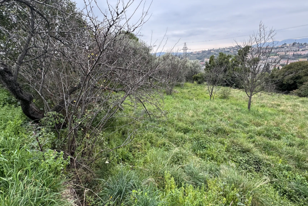 Terrain constructible à Grasse de 1695 m² avec permis de construire 