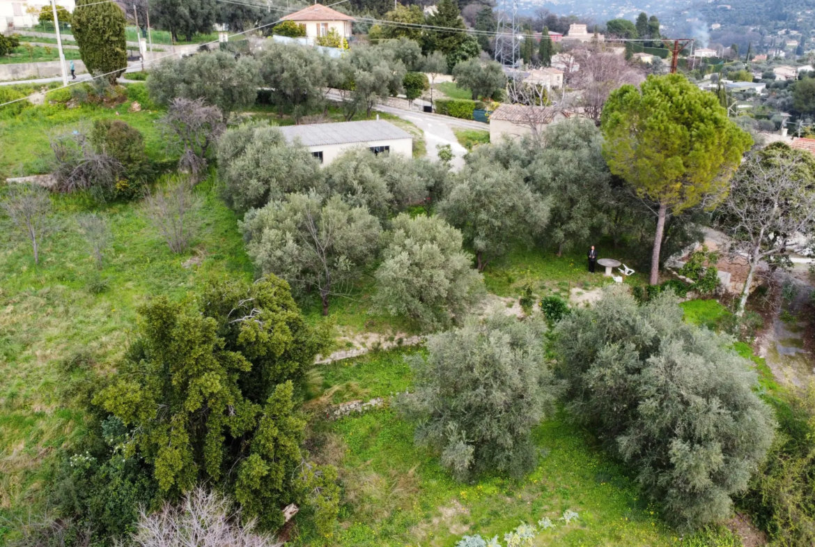 Terrain constructible à Grasse de 1695 m² avec permis de construire 