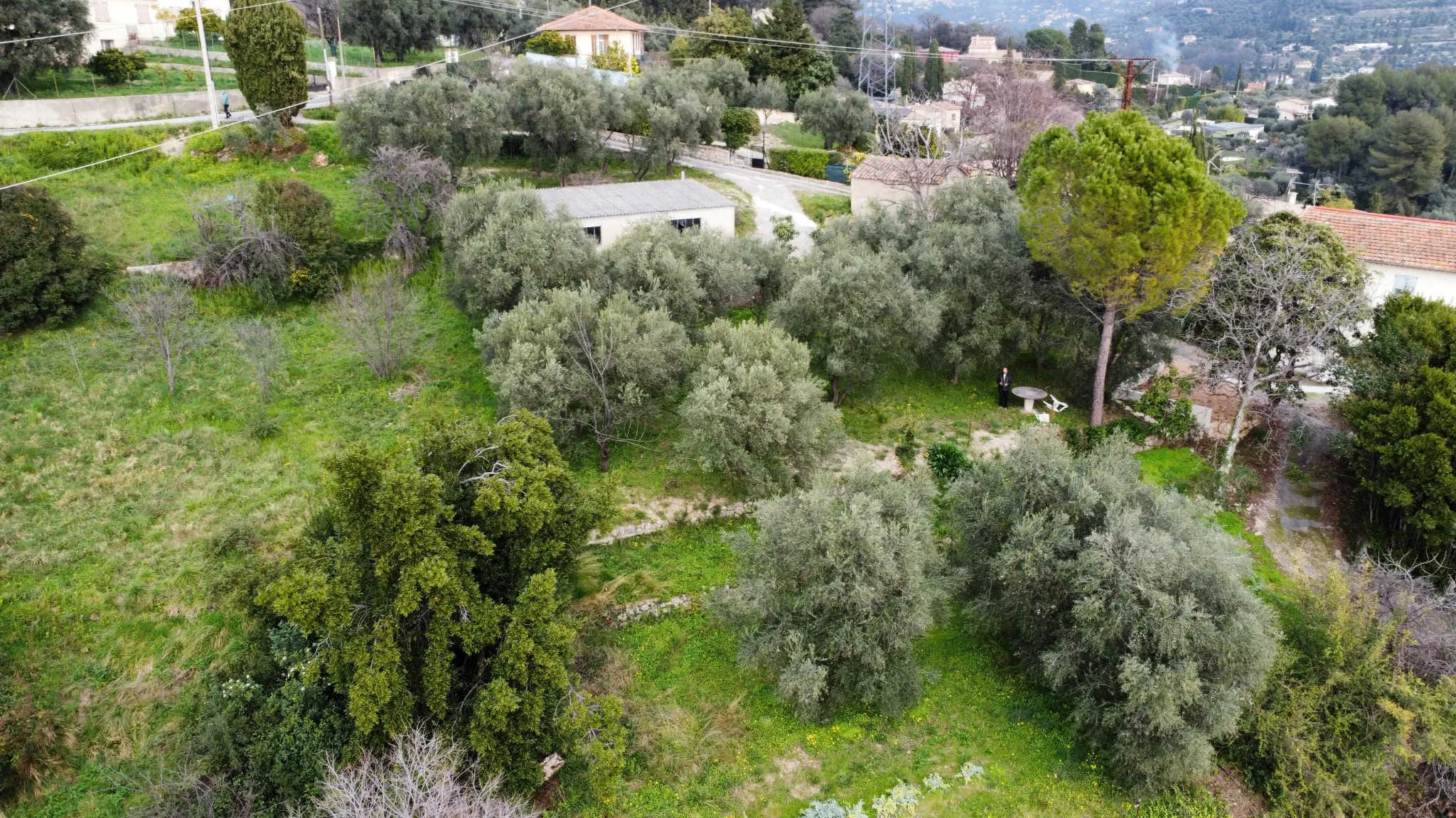 Terrain constructible à Grasse de 1695 m² avec permis de construire 