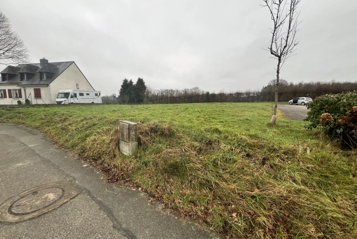 Terrain constructible viabilisé de 1012 m² à Lignol à vendre 