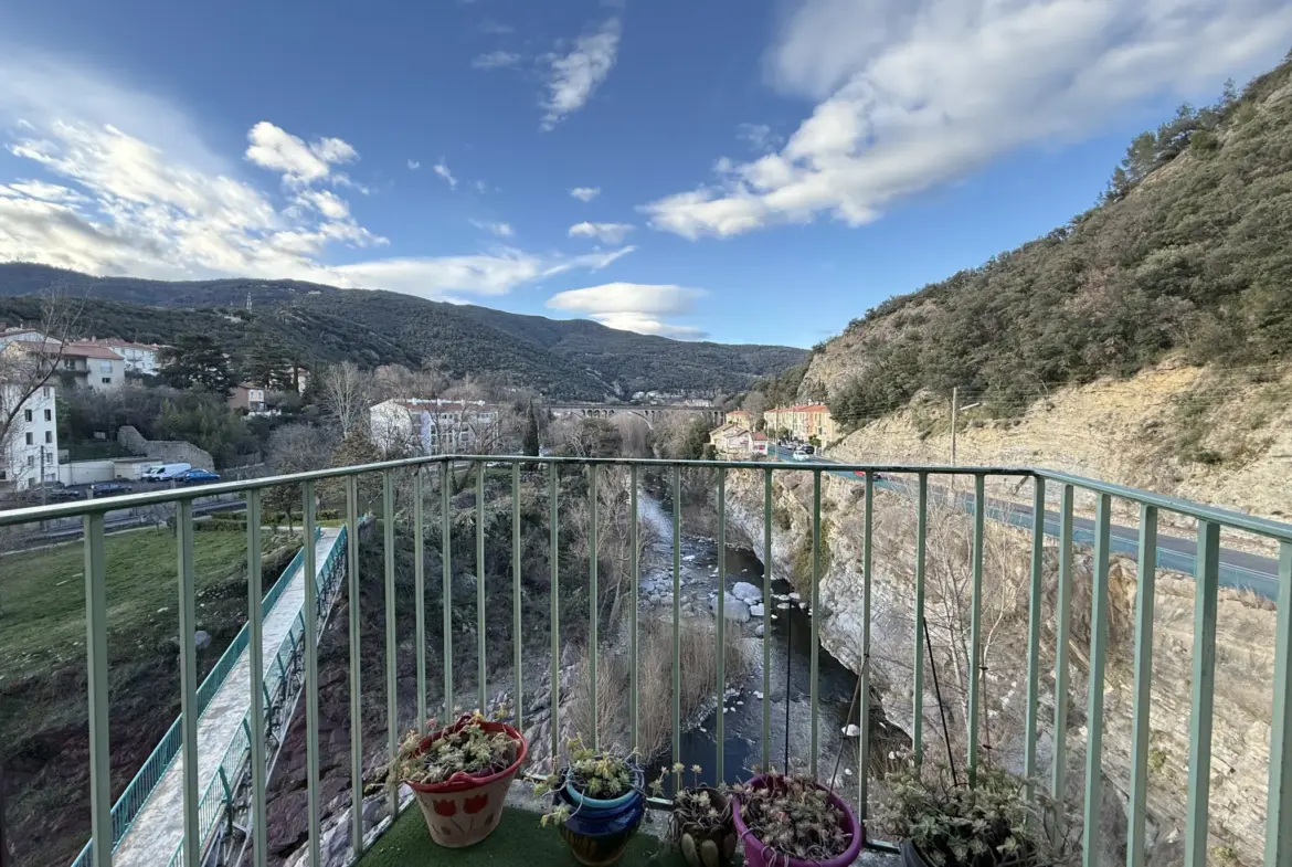 Grand F2 lumineux à Amélie-les-Bains-Palalda avec vue sur le Tech 