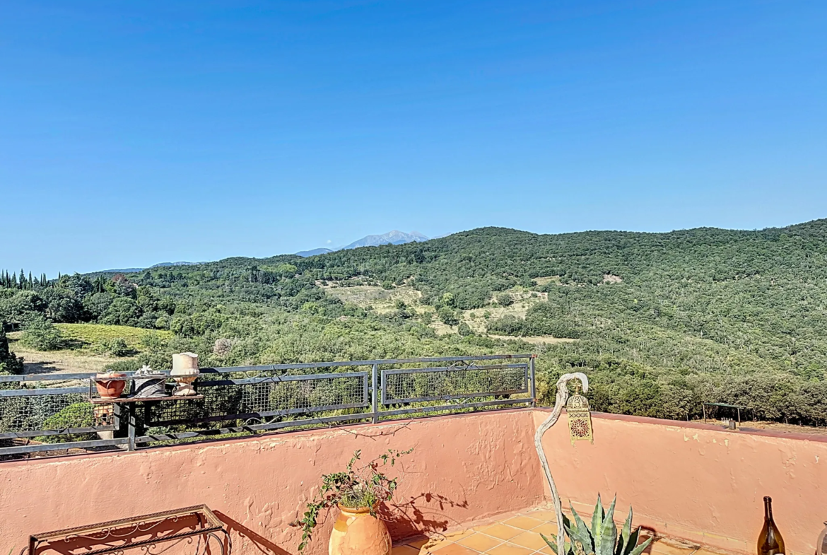 Achetez une Maison de Village avec Terrasse et Garage à Oms 