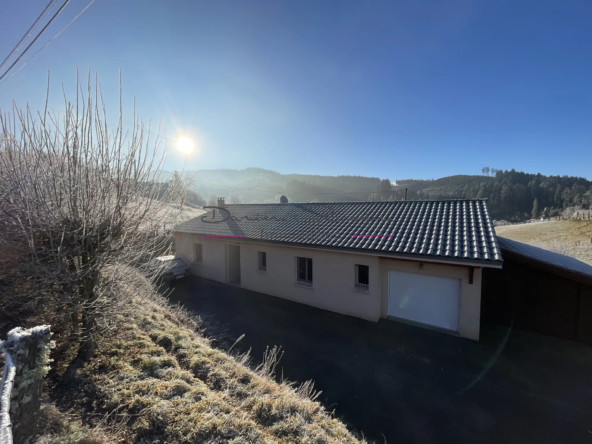 Villa de plain pied avec terrain à Cublize