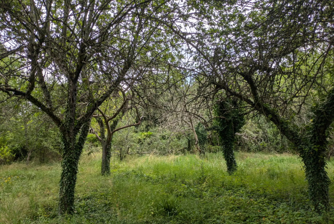 Terrain à bâtir à Challuy - 1938 m² - 29 € du m² 