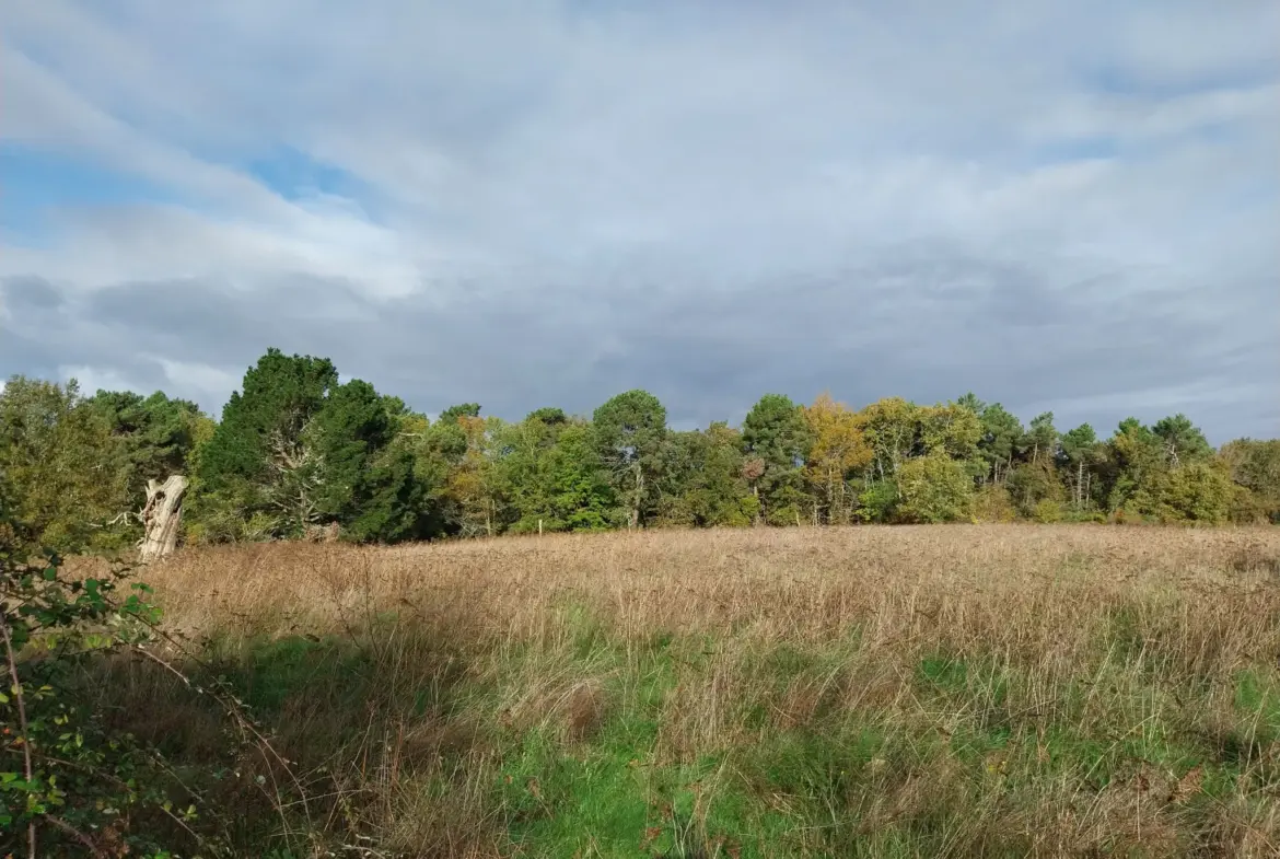 Ensemble immobilier au calme de la campagne sur 13 hectares 