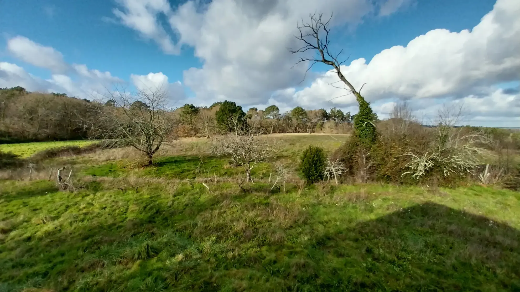 Ensemble immobilier au calme de la campagne sur 13 hectares 