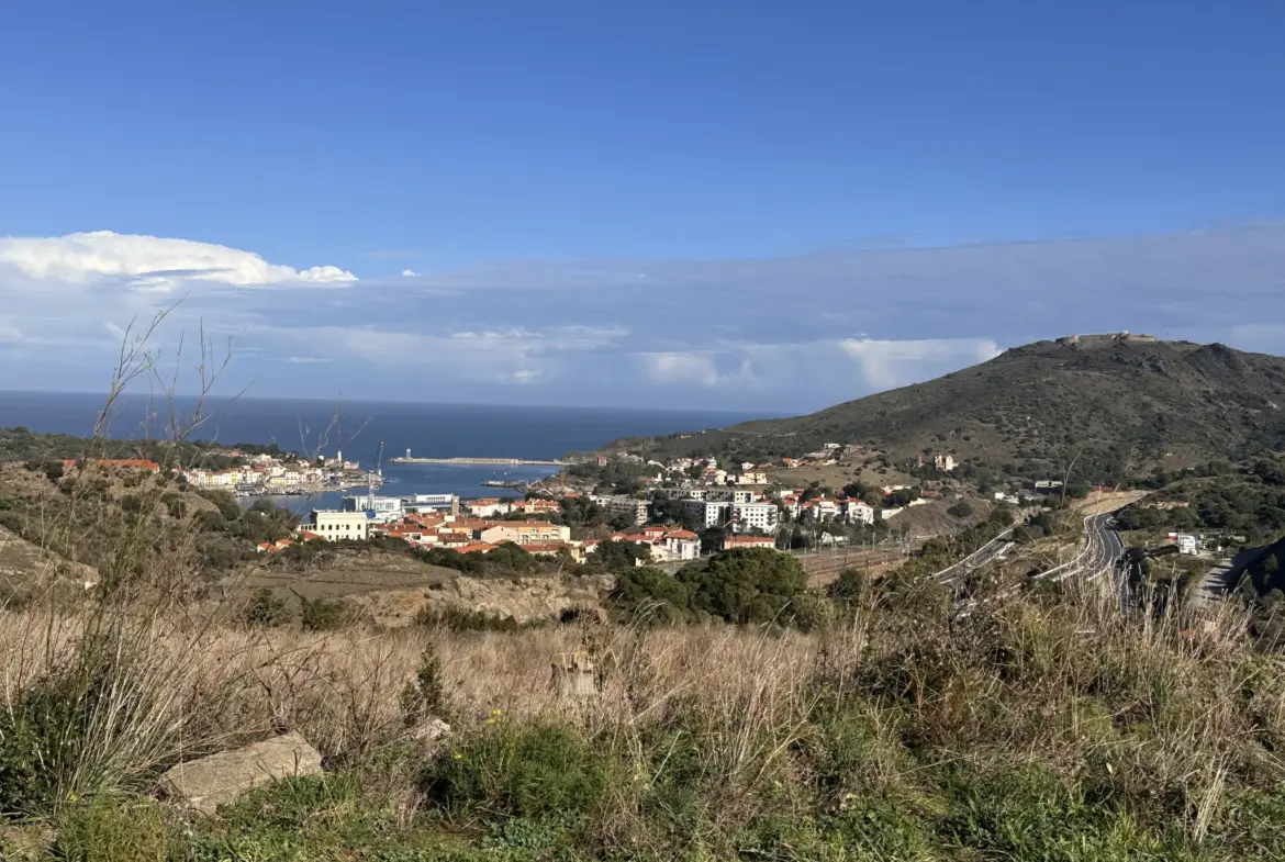 Terrain agricole à vendre à Port-Vendres - 6170 m² avec vignes 