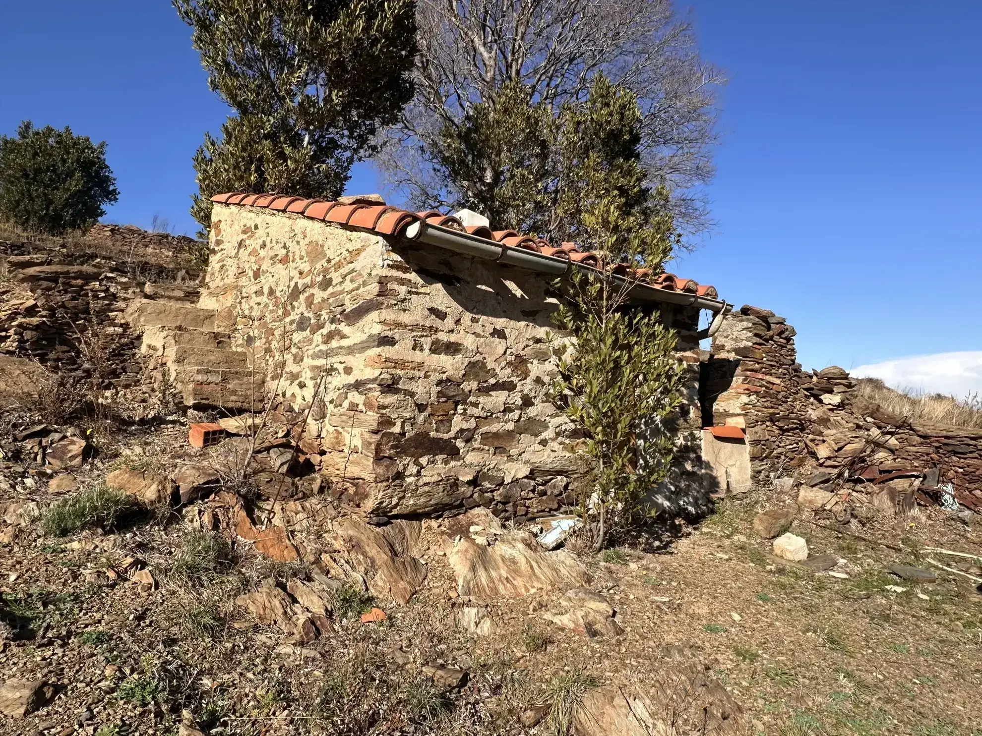 Terrain agricole à vendre à Port-Vendres - 6170 m² avec vignes 